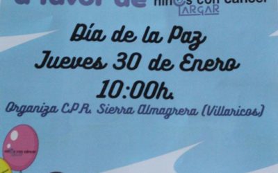 30/01/2020 – CARRERA SOLIDARIA COLEGIO SIERRA ALMAGREGA – VILLARICOS